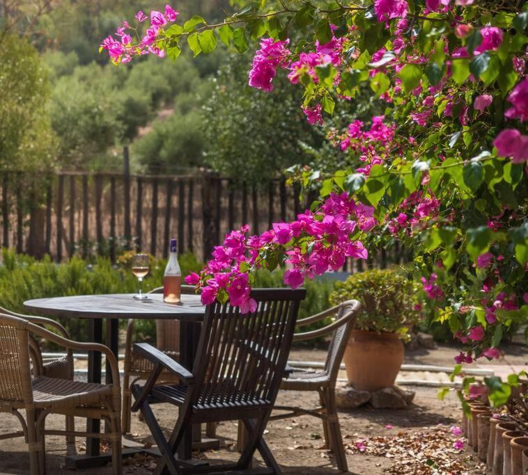 Ranchito De Alhucemas,Piscina Privada Y Barbacoa Villa Montellano Eksteriør billede